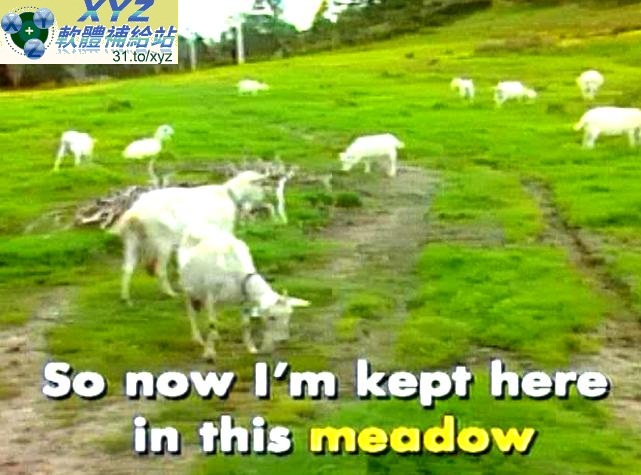 台灣麥克 MAGIC BOX 魔術盒 美語童謠集 英語歌唱伴唱歡樂版(幼兒教學)(適用任何家用DVD播放機)(4DVD)