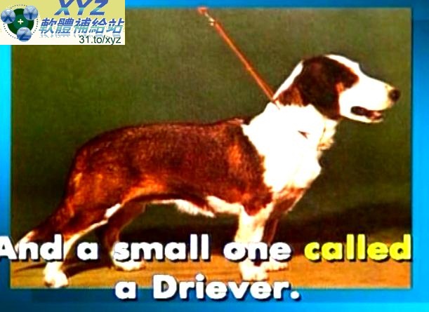 台灣麥克 MAGIC BOX 魔術盒 美語童謠集 英語歌唱伴唱歡樂版(幼兒教學)(適用任何家用DVD播放機)(4DVD)