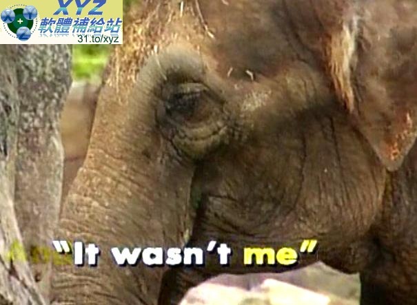 台灣麥克 MAGIC BOX 魔術盒 美語童謠集 英語歌唱伴唱歡樂版(幼兒教學)(適用任何家用DVD播放機)(4DVD)